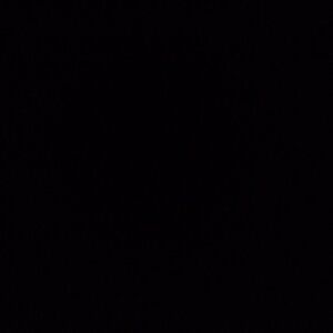 Meet your Posher, Sabio